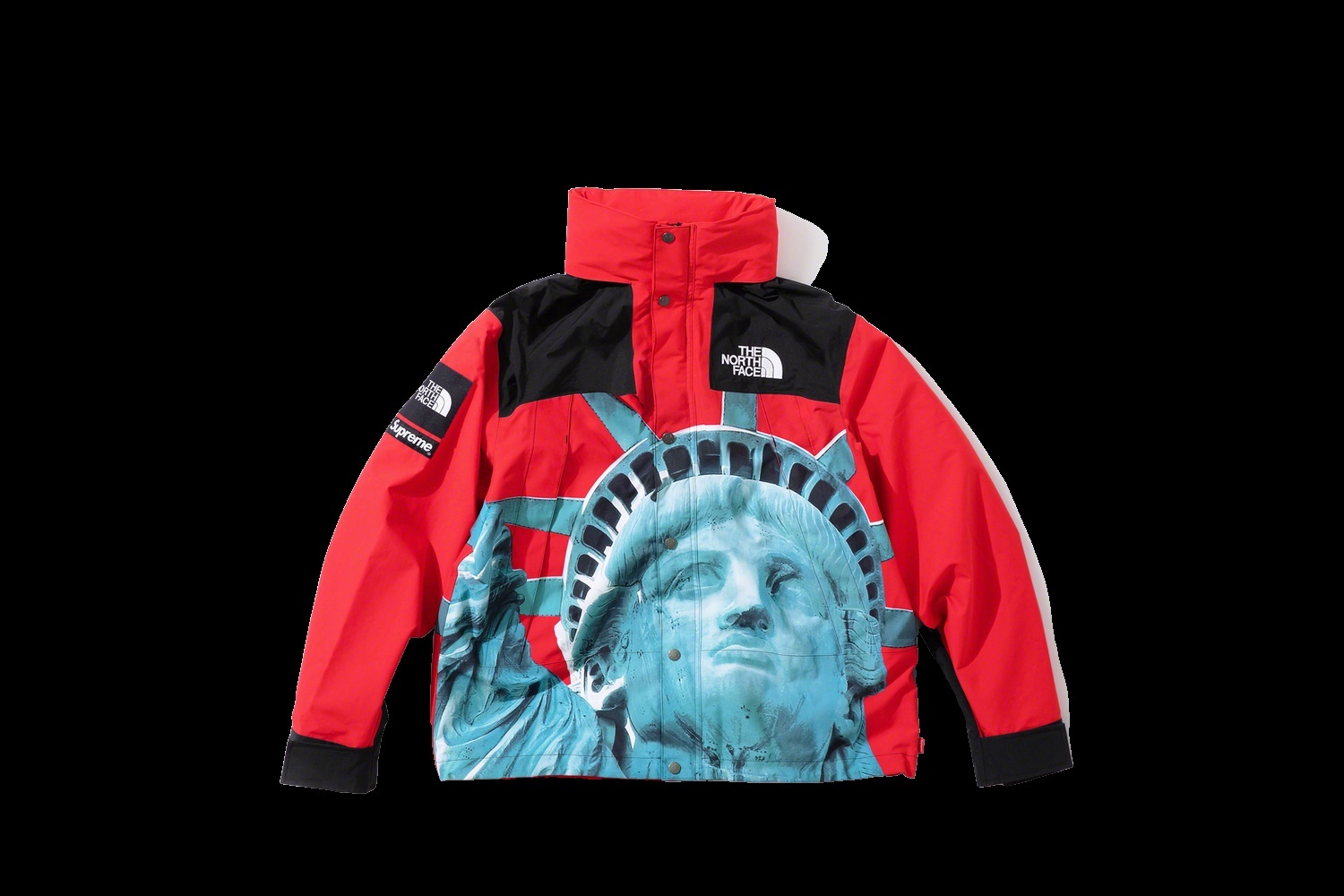 Supreme®/The North Face® Statue of Liberty Mountain Jacket view 20